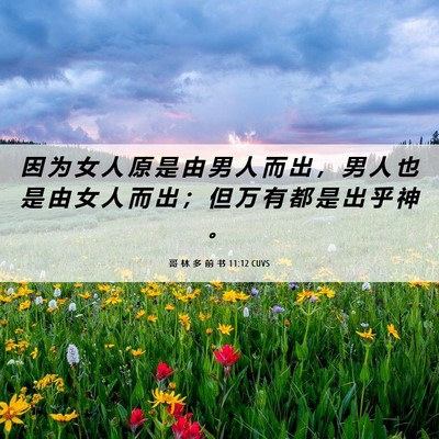 Picture 06 - 哥 林 多 前 书 11:12 CUVS - 因 为 女 人 原 是 由 男 人 而 出 ， - Bible Verse Picture