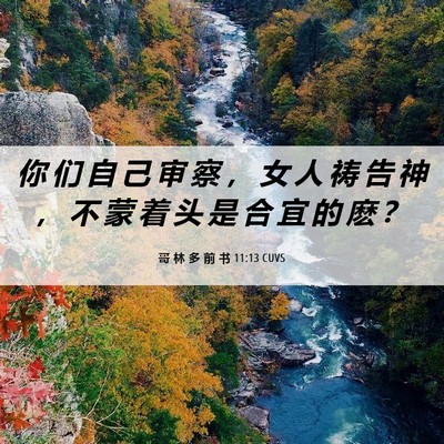 Picture 06 - 哥 林 多 前 书 11:13 CUVS - 你 们 自 己 审 察 ， 女 人 祷 告 神 - Bible Verse Picture