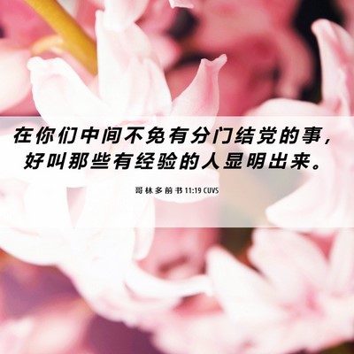Picture 06 - 哥 林 多 前 书 11:19 CUVS - 在 你 们 中 间 不 免 有 分 门 结 党 - Bible Verse Picture
