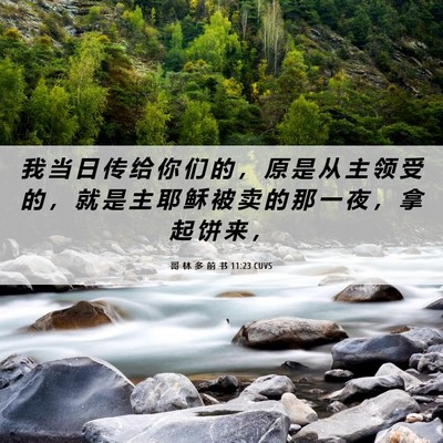 Picture 06 - 哥 林 多 前 书 11:23 CUVS - 我 当 日 传 给 你 们 的 ， 原 是 从 - Bible Verse Picture