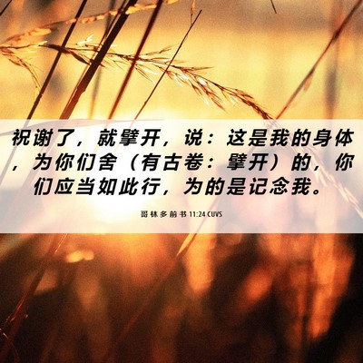 Picture 06 - 哥 林 多 前 书 11:24 CUVS - 祝 谢 了 ， 就 擘 开 ， 说 ： 这 是 - Bible Verse Picture