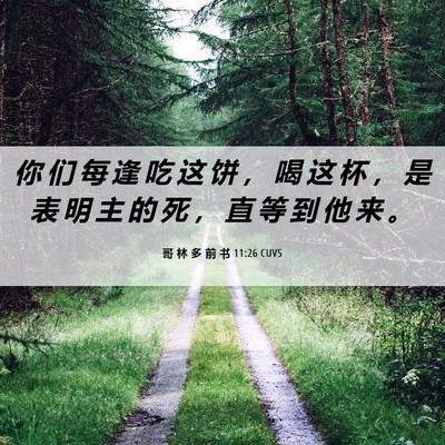 Picture 06 - 哥 林 多 前 书 11:26 CUVS - 你 们 每 逢 吃 这 饼 ， 喝 这 杯 ， - Bible Verse Picture