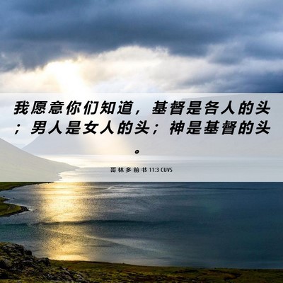 Picture 06 - 哥 林 多 前 书 11:3 CUVS - 我 愿 意 你 们 知 道 ， 基 督 是 各 - Bible Verse Picture