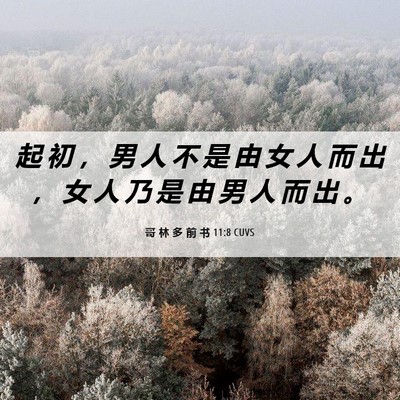 Picture 06 - 哥 林 多 前 书 11:8 CUVS - 起 初 ， 男 人 不 是 由 女 人 而 出 - Bible Verse Picture