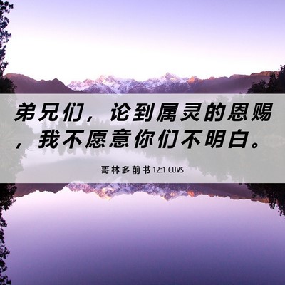 Picture 06 - 哥 林 多 前 书 12:1 CUVS - 弟 兄 们 ， 论 到 属 灵 的 恩 赐 ， - Bible Verse Picture