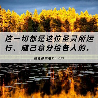 Picture 06 - 哥 林 多 前 书 12:11 CUVS - 这 一 切 都 是 这 位 圣 灵 所 运 行 - Bible Verse Picture