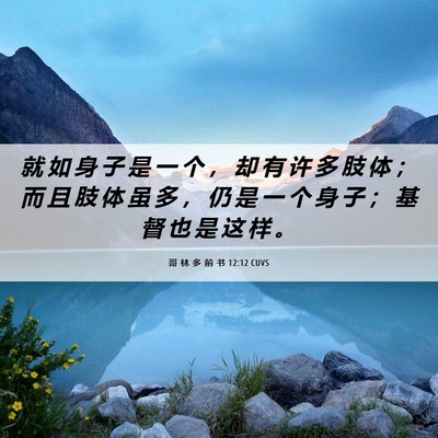 Picture 06 - 哥 林 多 前 书 12:12 CUVS - 就 如 身 子 是 一 个 ， 却 有 许 多 - Bible Verse Picture