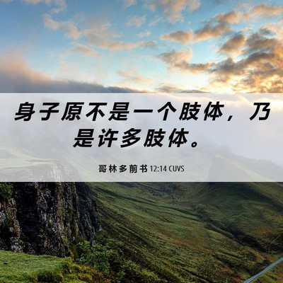 Picture 06 - 哥 林 多 前 书 12:14 CUVS - 身 子 原 不 是 一 个 肢 体 ， 乃 是 - Bible Verse Picture
