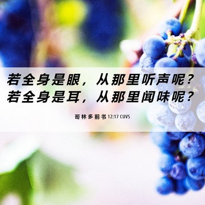 Picture 06 - 哥 林 多 前 书 12:17 CUVS - 若 全 身 是 眼 ， 从 那 里 听 声 呢 - Bible Verse Picture