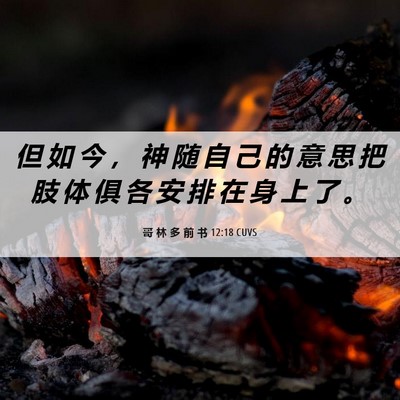 Picture 06 - 哥 林 多 前 书 12:18 CUVS - 但 如 今 ， 神 随 自 己 的 意 思 把 - Bible Verse Picture