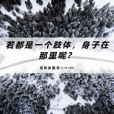 Picture 06 - 哥 林 多 前 书 12:19 CUVS - 若 都 是 一 个 肢 体 ， 身 子 在 那 - Bible Verse Picture
