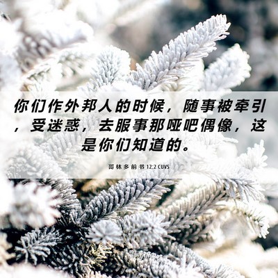 Picture 06 - 哥 林 多 前 书 12:2 CUVS - 你 们 作 外 邦 人 的 时 候 ， 随 事 - Bible Verse Picture
