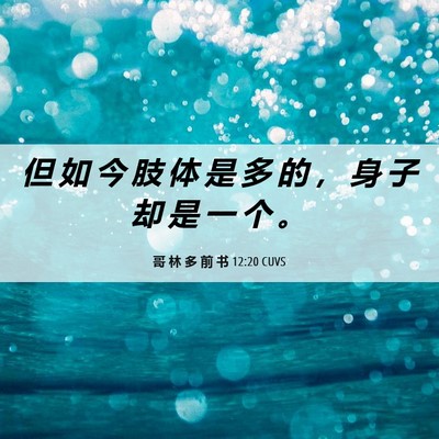 Picture 06 - 哥 林 多 前 书 12:20 CUVS - 但 如 今 肢 体 是 多 的 ， 身 子 却 - Bible Verse Picture
