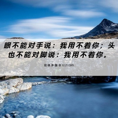 Picture 06 - 哥 林 多 前 书 12:21 CUVS - 眼 不 能 对 手 说 ： 我 用 不 着 你 - Bible Verse Picture