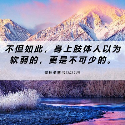 Picture 06 - 哥 林 多 前 书 12:22 CUVS - 不 但 如 此 ， 身 上 肢 体 人 以 为 - Bible Verse Picture