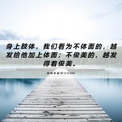 Picture 06 - 哥 林 多 前 书 12:23 CUVS - 身 上 肢 体 ， 我 们 看 为 不 体 面 - Bible Verse Picture