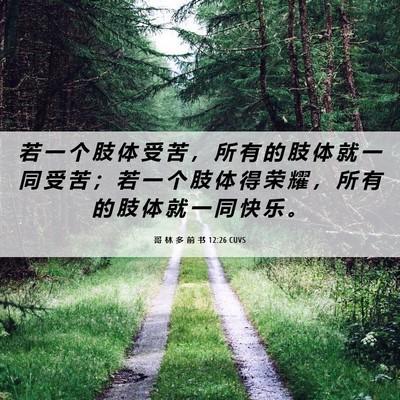 Picture 06 - 哥 林 多 前 书 12:26 CUVS - 若 一 个 肢 体 受 苦 ， 所 有 的 肢 - Bible Verse Picture