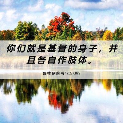 Picture 06 - 哥 林 多 前 书 12:27 CUVS - 你 们 就 是 基 督 的 身 子 ， 并 且 - Bible Verse Picture