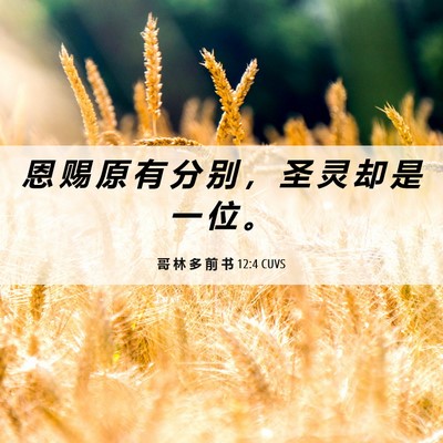 Picture 06 - 哥 林 多 前 书 12:4 CUVS - 恩 赐 原 有 分 别 ， 圣 灵 却 是 一 - Bible Verse Picture