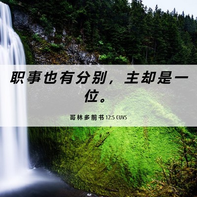 Picture 06 - 哥 林 多 前 书 12:5 CUVS - 职 事 也 有 分 别 ， 主 却 是 一 位 - Bible Verse Picture