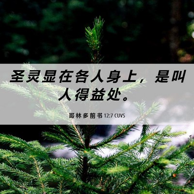 Picture 06 - 哥 林 多 前 书 12:7 CUVS - 圣 灵 显 在 各 人 身 上 ， 是 叫 人 - Bible Verse Picture