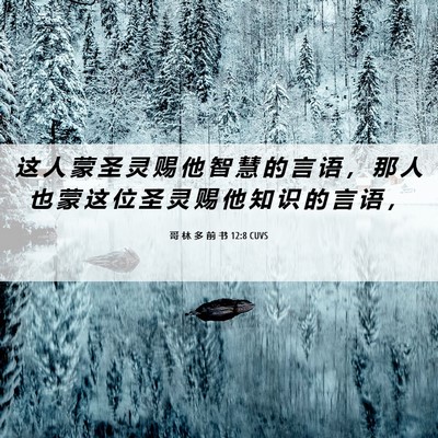 Picture 06 - 哥 林 多 前 书 12:8 CUVS - 这 人 蒙 圣 灵 赐 他 智 慧 的 言 语 - Bible Verse Picture
