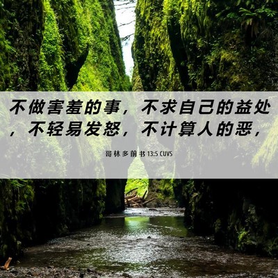 Picture 06 - 哥 林 多 前 书 13:5 CUVS - 不 做 害 羞 的 事 ， 不 求 自 己 的 - Bible Verse Picture