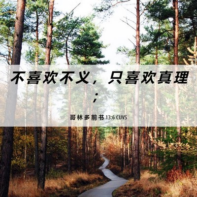 Picture 06 - 哥 林 多 前 书 13:6 CUVS - 不 喜 欢 不 义 ， 只 喜 欢 真 理 - Bible Verse Picture