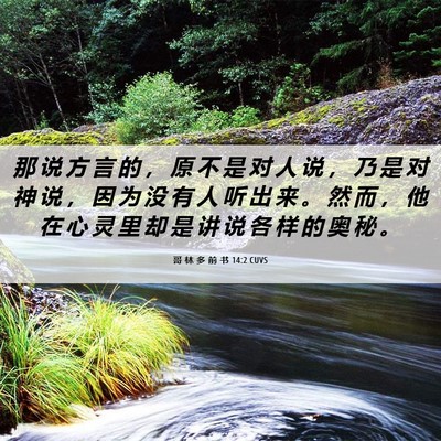 Picture 06 - 哥 林 多 前 书 14:2 CUVS - 那 说 方 言 的 ， 原 不 是 对 人 说 - Bible Verse Picture