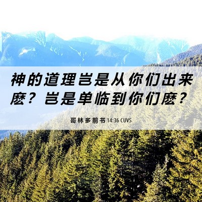 Picture 06 - 哥 林 多 前 书 14:36 CUVS - 神 的 道 理 岂 是 从 你 们 出 来 麽 - Bible Verse Picture
