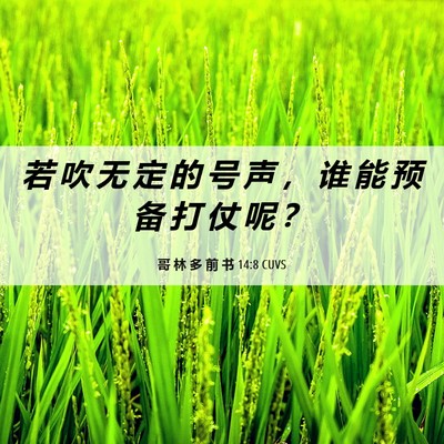 Picture 06 - 哥 林 多 前 书 14:8 CUVS - 若 吹 无 定 的 号 声 ， 谁 能 预 备 - Bible Verse Picture