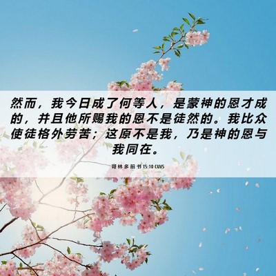 Picture 06 - 哥 林 多 前 书 15:10 CUVS - 然 而 ， 我 今 日 成 了 何 等 人 ， - Bible Verse Picture