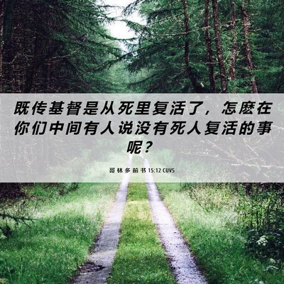 Picture 06 - 哥 林 多 前 书 15:12 CUVS - 既 传 基 督 是 从 死 里 复 活 了 ， - Bible Verse Picture
