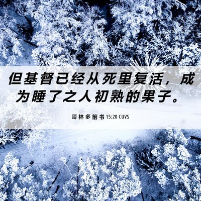 Picture 06 - 哥 林 多 前 书 15:20 CUVS - 但 基 督 已 经 从 死 里 复 活 ， 成 - Bible Verse Picture