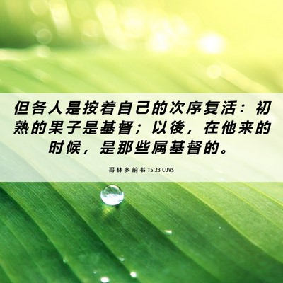Picture 06 - 哥 林 多 前 书 15:23 CUVS - 但 各 人 是 按 着 自 己 的 次 序 复 - Bible Verse Picture