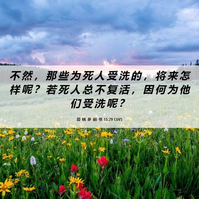 Picture 06 - 哥 林 多 前 书 15:29 CUVS - 不 然 ， 那 些 为 死 人 受 洗 的 ， - Bible Verse Picture