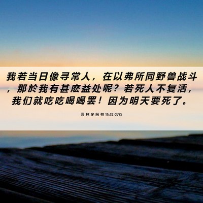 Picture 06 - 哥 林 多 前 书 15:32 CUVS - 我 若 当 日 像 寻 常 人 ， 在 以 弗 - Bible Verse Picture