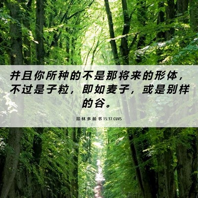 Picture 06 - 哥 林 多 前 书 15:37 CUVS - 并 且 你 所 种 的 不 是 那 将 来 的 - Bible Verse Picture