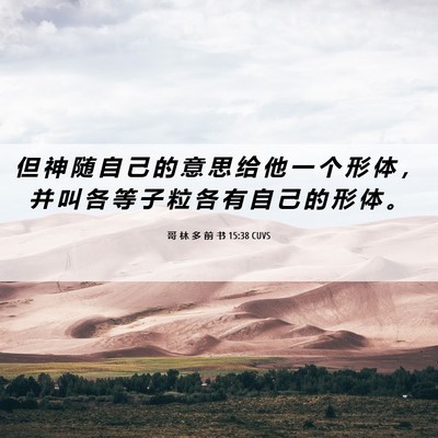 Picture 06 - 哥 林 多 前 书 15:38 CUVS - 但 神 随 自 己 的 意 思 给 他 一 个 - Bible Verse Picture