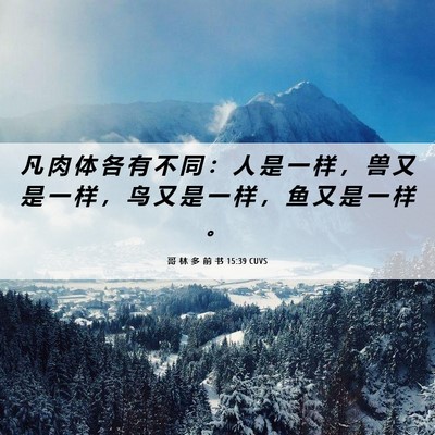Picture 06 - 哥 林 多 前 书 15:39 CUVS - 凡 肉 体 各 有 不 同 ： 人 是 一 样 - Bible Verse Picture
