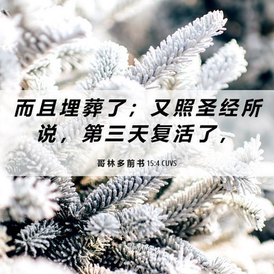 Picture 06 - 哥 林 多 前 书 15:4 CUVS - 而 且 埋 葬 了 ； 又 照 圣 经 所 说 - Bible Verse Picture