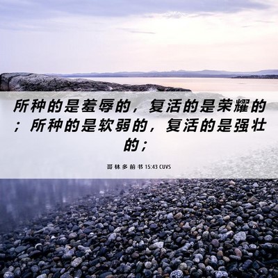 Picture 06 - 哥 林 多 前 书 15:43 CUVS - 所 种 的 是 羞 辱 的 ， 复 活 的 是 - Bible Verse Picture