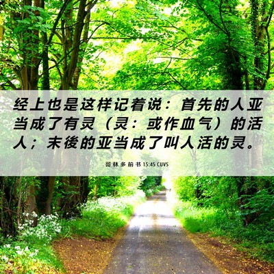 Picture 06 - 哥 林 多 前 书 15:45 CUVS - 经 上 也 是 这 样 记 着 说 ： 首 先 - Bible Verse Picture