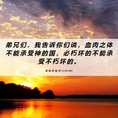 Picture 06 - 哥 林 多 前 书 15:50 CUVS - 弟 兄 们 ， 我 告 诉 你 们 说 ， 血 - Bible Verse Picture