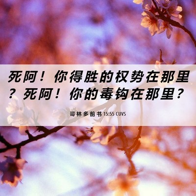 Picture 06 - 哥 林 多 前 书 15:55 CUVS - 死 阿 ！ 你 得 胜 的 权 势 在 那 里 - Bible Verse Picture