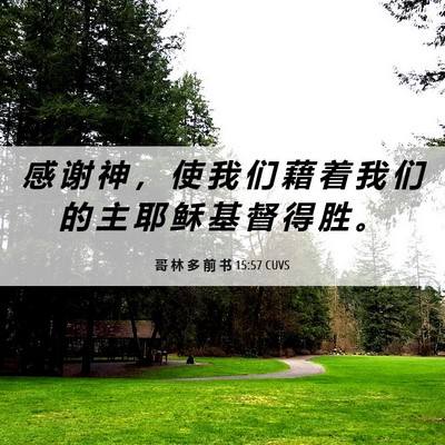 Picture 06 - 哥 林 多 前 书 15:57 CUVS - 感 谢 神 ， 使 我 们 藉 着 我 们 的 - Bible Verse Picture