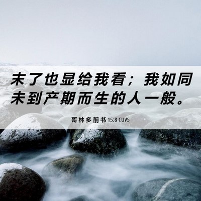 Picture 06 - 哥 林 多 前 书 15:8 CUVS - 末 了 也 显 给 我 看 ； 我 如 同 未 - Bible Verse Picture