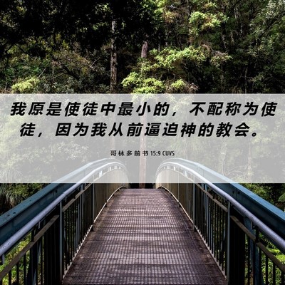 Picture 06 - 哥 林 多 前 书 15:9 CUVS - 我 原 是 使 徒 中 最 小 的 ， 不 配 - Bible Verse Picture