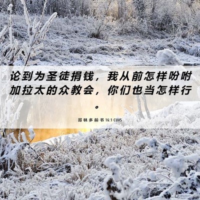 Picture 06 - 哥 林 多 前 书 16:1 CUVS - 论 到 为 圣 徒 捐 钱 ， 我 从 前 怎 - Bible Verse Picture
