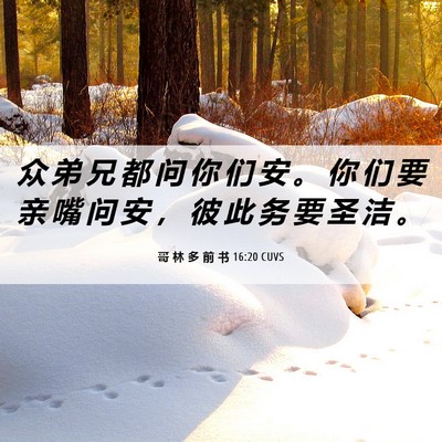 Picture 06 - 哥 林 多 前 书 16:20 CUVS - 众 弟 兄 都 问 你 们 安 。 你 们 要 - Bible Verse Picture